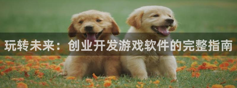 玩转未来：创业开发游戏软件的完整指南