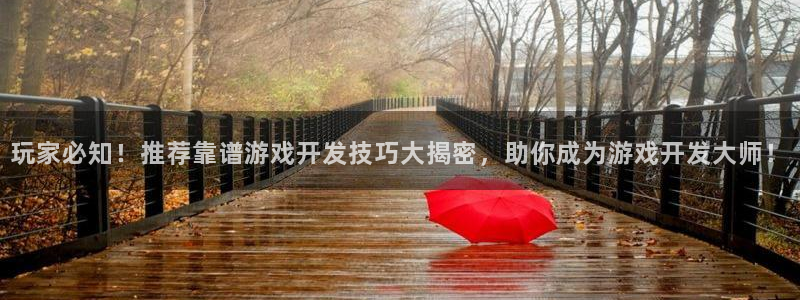 玩家必知！推荐靠谱游戏开发技巧大揭密，助