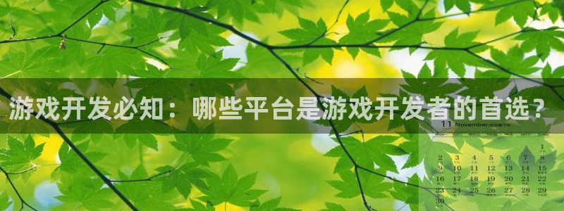 游戏开发必知：哪些平台是游戏开发者的首选