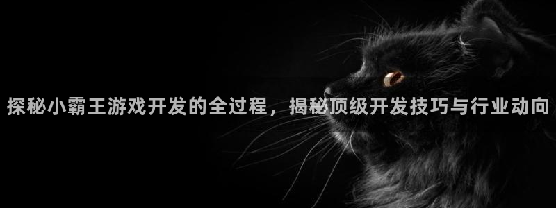 沐鸣娱乐官网入口：探秘小霸王游戏开发的全