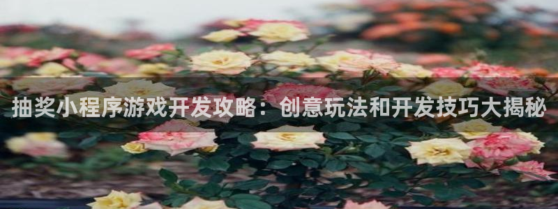 沐鸣平台代理注册多少钱一年：抽奖小程序游