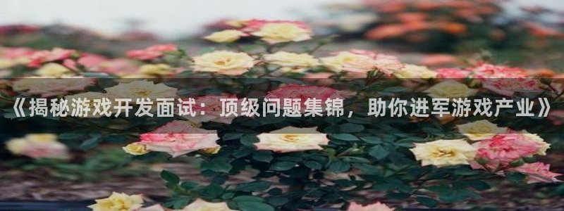 沐鸣科技有限公司电话：《揭秘游戏开发面试