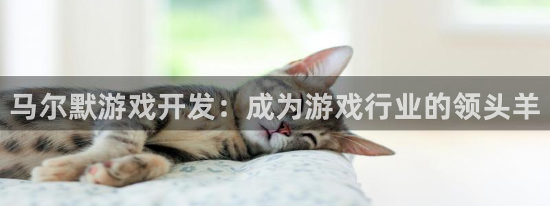 沐鸣科技游戏怎么样：马尔默游戏开发：成为