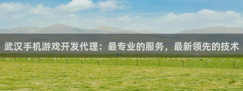 沐鸣1平台招商：武汉手机游戏开发代理：最