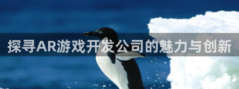 沐鸣平台注册资金多少钱：探寻AR游戏开发