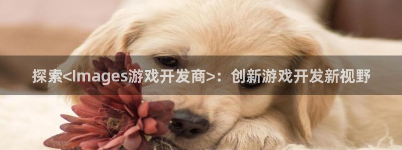 沐鸣娱乐代理在线注册链接：探索<Imag