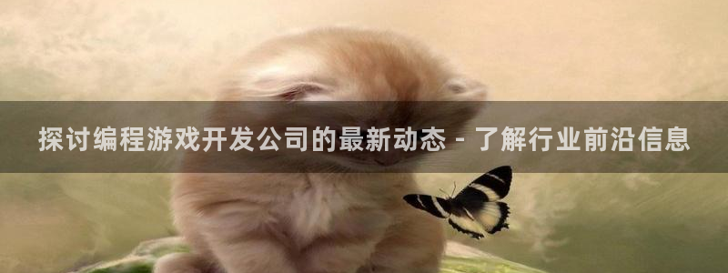 沐鸣平台：探讨编程游戏开发公司的最新动态