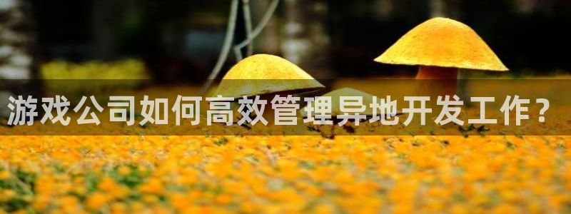 沐鸣科技做的游戏怎么样：游戏公司如何高效