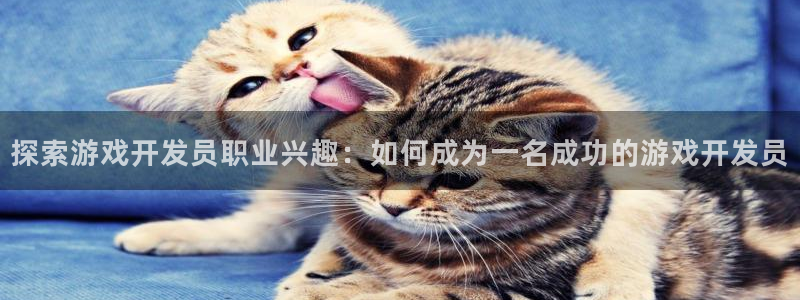 沐鸣娱乐平台登录不上：探索游戏开发员职业