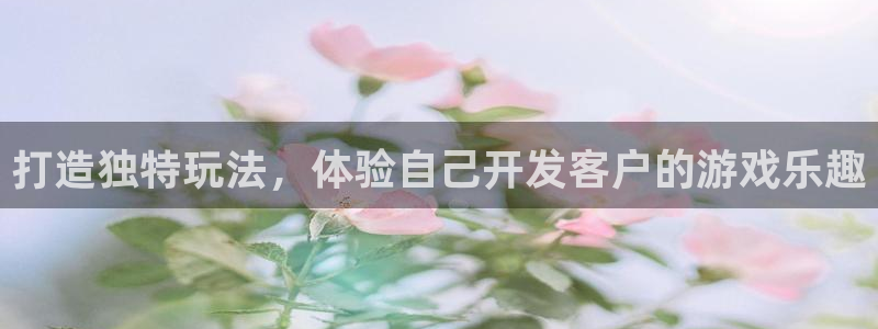 沐鸣娱乐平台登录不了：打造独特玩法，体验