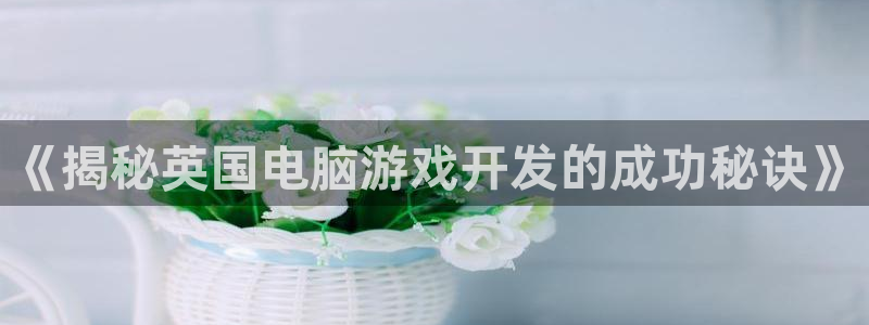沐鸣注册注册：《揭秘英国电脑游戏开发的成