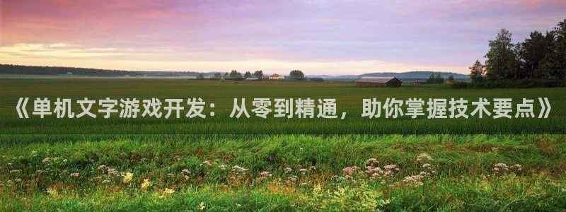 沐鸣注册官方登录app：《单机文字游戏开