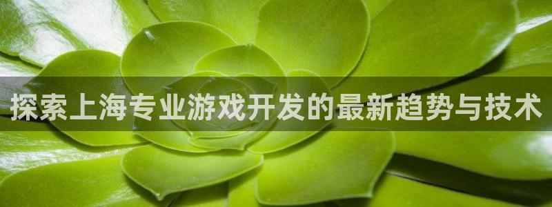 沐鸣平台登陆：探索上海专业游戏开发的最新