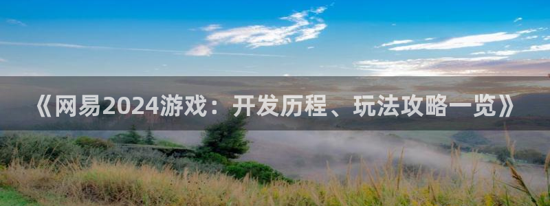沐鸣科技有限公司招聘：《网易2024游戏