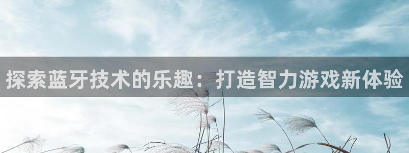 沐鸣文化传媒有限公司：探索蓝牙技术的乐趣