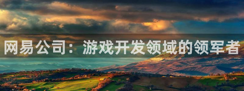 沐鸣4主管：网易公司：游戏开发领域的领军