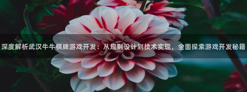 沐鸣登陆地址：深度解析武汉牛牛棋牌游戏开