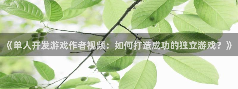 沐鸣科技做的游戏：《单人开发游戏作者视频