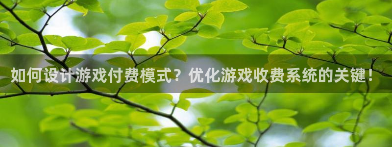 沐鸣娱乐是什么：如何设计游戏付费模式？优