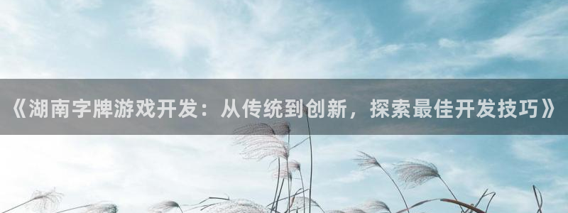 沐鸣3平台注册：《湖南字牌游戏开发：从传