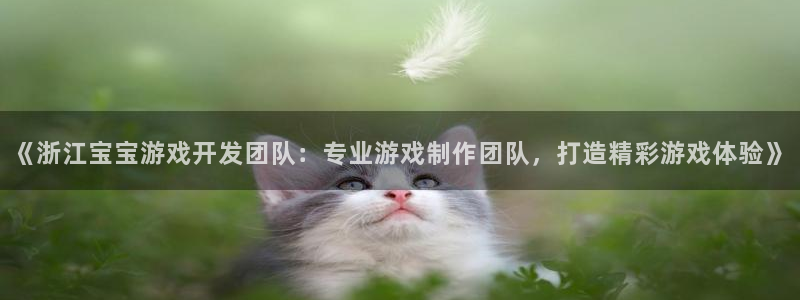 沐鸣1登录地址：《浙江宝宝游戏开发团队：
