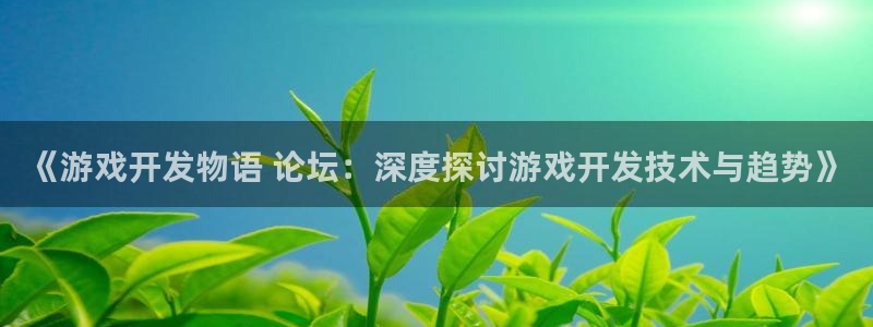 沐鸣代理注册：《游戏开发物语 论坛：深度