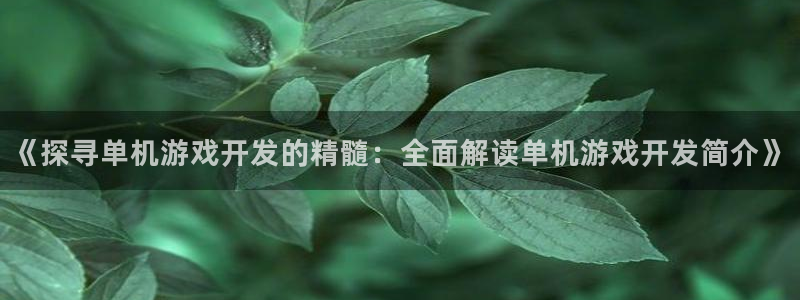 沐鸣科技业务员怎么样：《探寻单机游戏开发