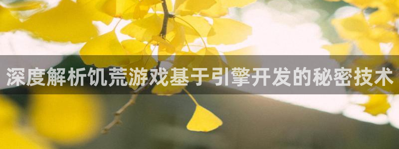 沐鸣平台招商：深度解析饥荒游戏基于引擎开