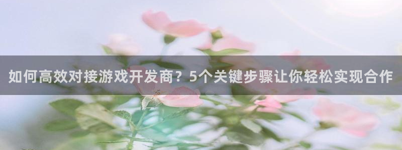 沐鸣科技有限公司：如何高效对接游戏开发商