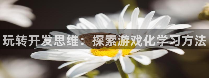 沐鸣娱乐官方网站下载：玩转开发思维：探索