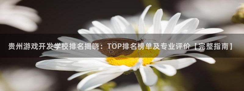 沐鸣科技游戏app：贵州游戏开发学校排名