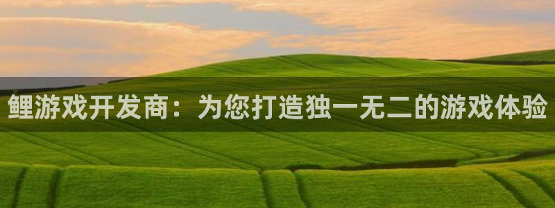 沐鸣平台矩58847：鲤游戏开发商：为您