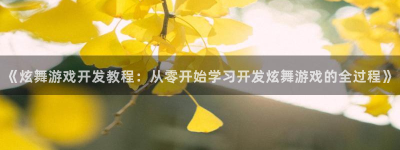 沐鸣登陆地址：《炫舞游戏开发教程：从零开