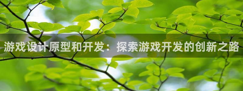 沐鸣注册登录：游戏设计原型和开发：探索游