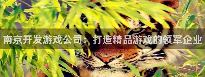 沐鸣娱乐官方平台下载：南京开发游戏公司：