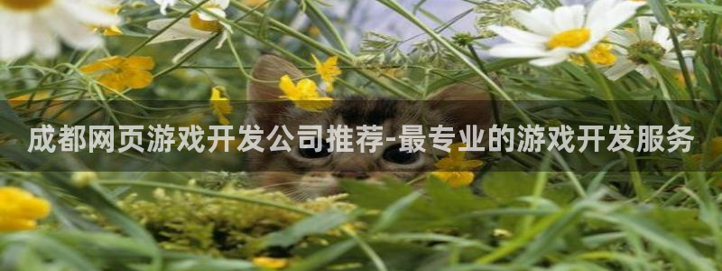 沐鸣娱乐平台登录入口下载安装：成都网页游