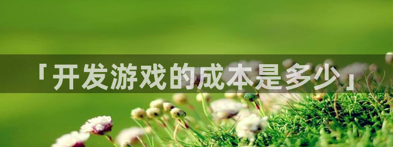 沐鸣娱乐官方平台怎么样：「开发游戏的成本