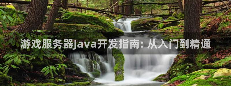 沐鸣平台趟址p33833：游戏服务器Ja
