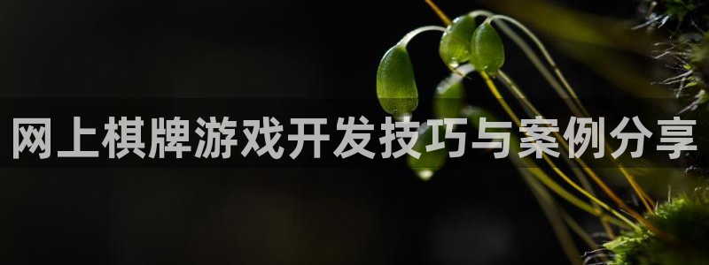 沐鸣娱乐ⅱ：网上棋牌游戏开发技巧与案例分