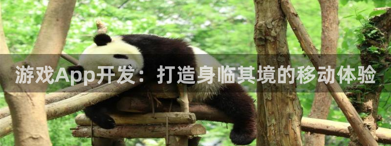 沐鸣娱乐怎么注册：游戏App开发：打造身