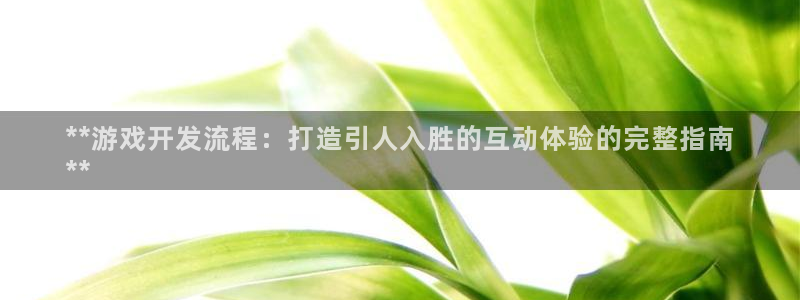 沐鸣平台代理注册多少钱：**游戏开发流程