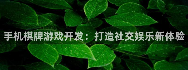 沐鸣娱乐平台怎么样啊：手机棋牌游戏开发：