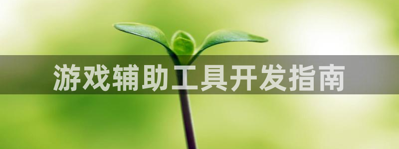 沐鸣娱乐靠谱吗：游戏辅助工具开发指南