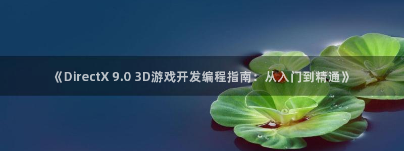 沐鸣娱乐官方平台怎么样：《DirectX
