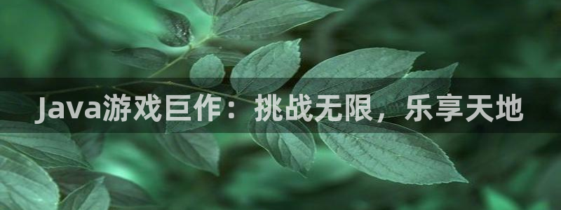 沐鸣登陆入口：Java游戏巨作：挑战无限