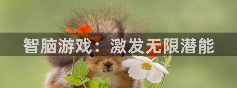 沐鸣平台：智脑游戏：激发无限潜能