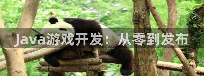 沐鸣4代理：Java游戏开发：从零到发布
