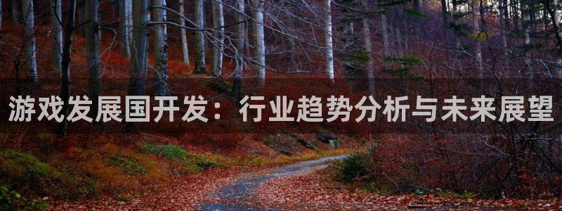 沐鸣科技做的游戏有哪些：游戏发展国开发：