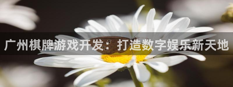 沐鸣1平台登录线路：广州棋牌游戏开发：打