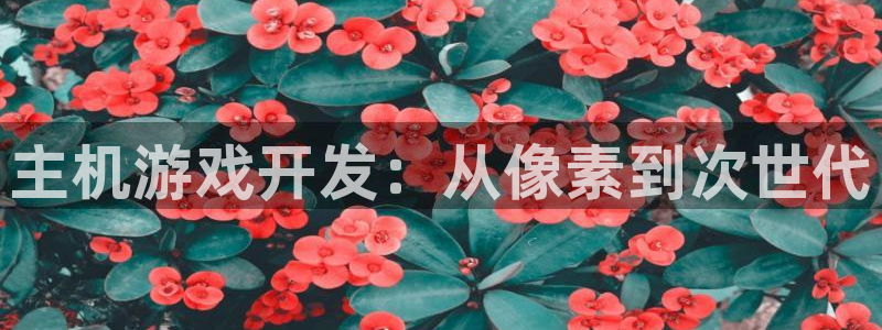 沐鸣官网注册：主机游戏开发：从像素到次世